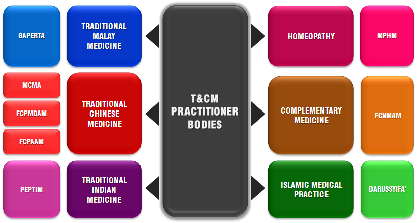 tncm practitioner bodies