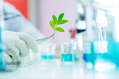 Research & Publications
